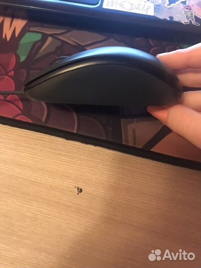 Мышь компьютерная
