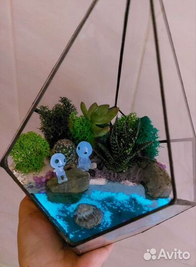 Флорариумы с суккулентами разные