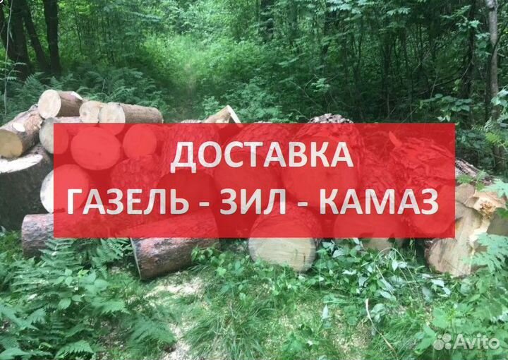 Дрова Косулино