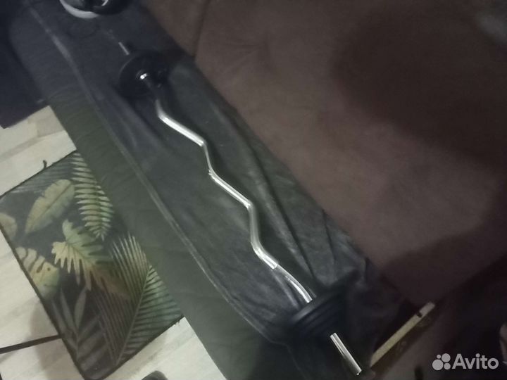 Гриф изогнутый, блины