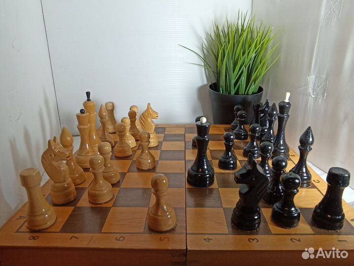 Шахматы СССР 1980