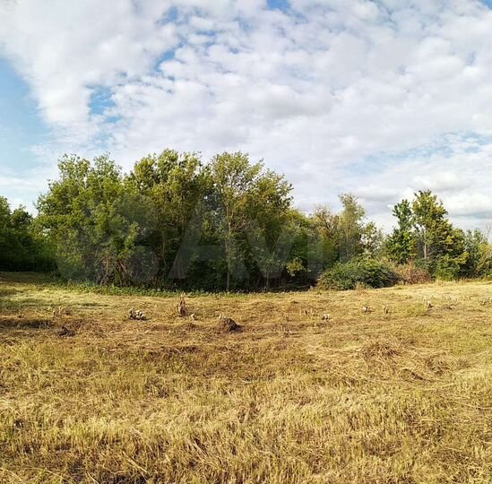 Участок 56 сот. (ИЖС)