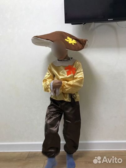 Прокат карнавального костюма гриб 104-110р