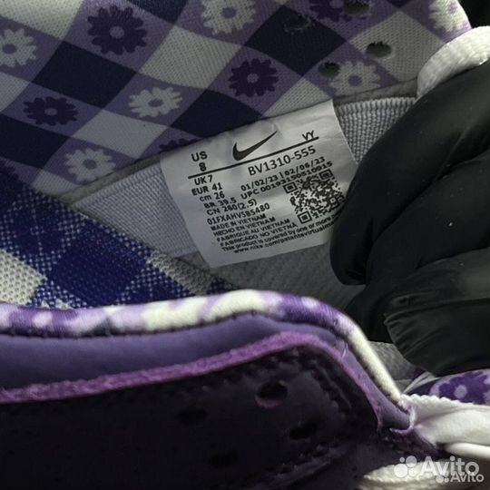 Кроссовки Nike sb Dunk low purple lobster