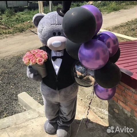 Аниматор Мишка Тедди