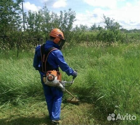 Обработка территории от: комаров,клещей,муравьев