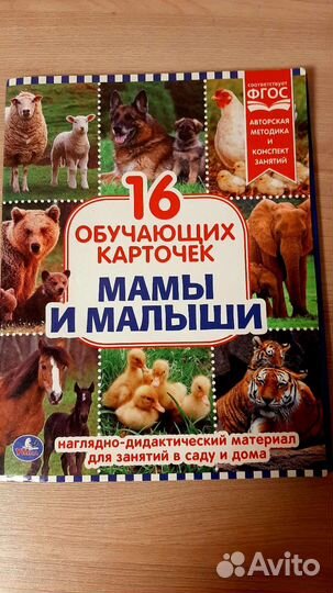 Развивающие карточки 