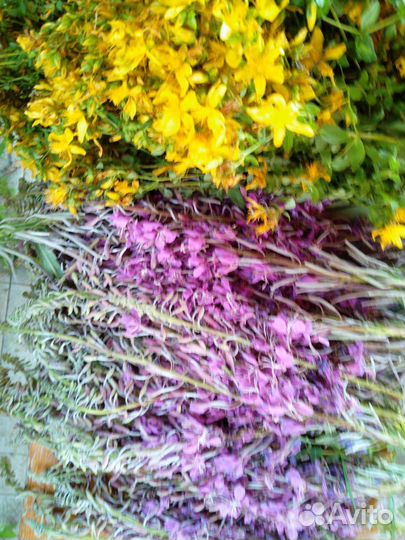 Иван-чай ферментированный, чай травяной