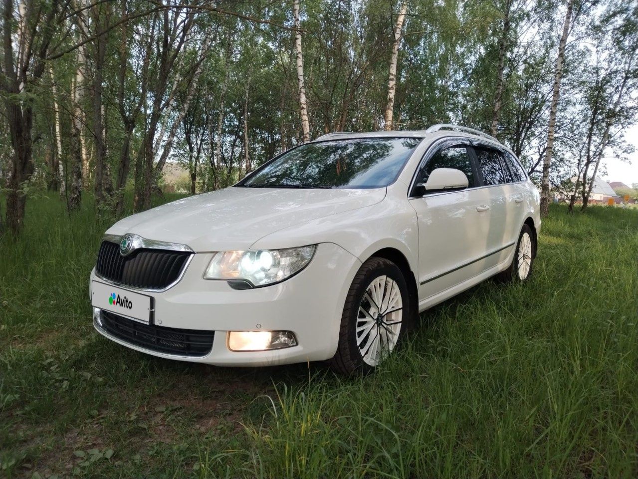 Skoda Superb: фото владельца