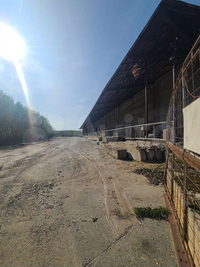 Свободного назначения, 1000 м²