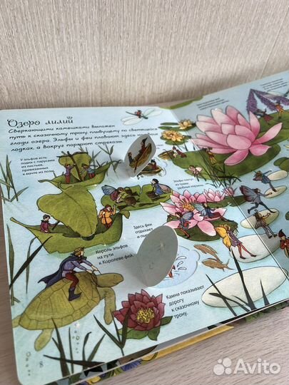 Книга Страна Фей (игра)