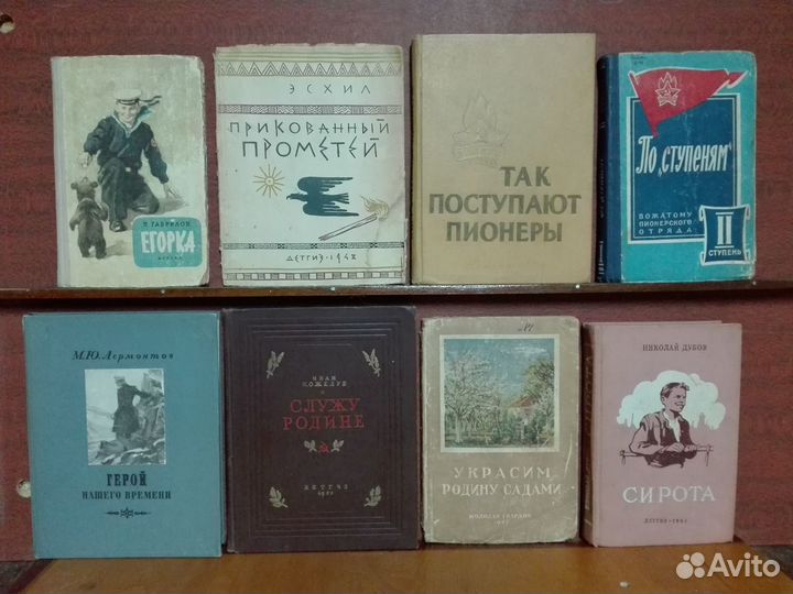 Библиотека пионера и школьника