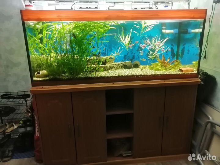 Аквариум 500 литров