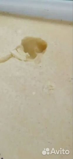 Аккураевый мед доставка по всей россии