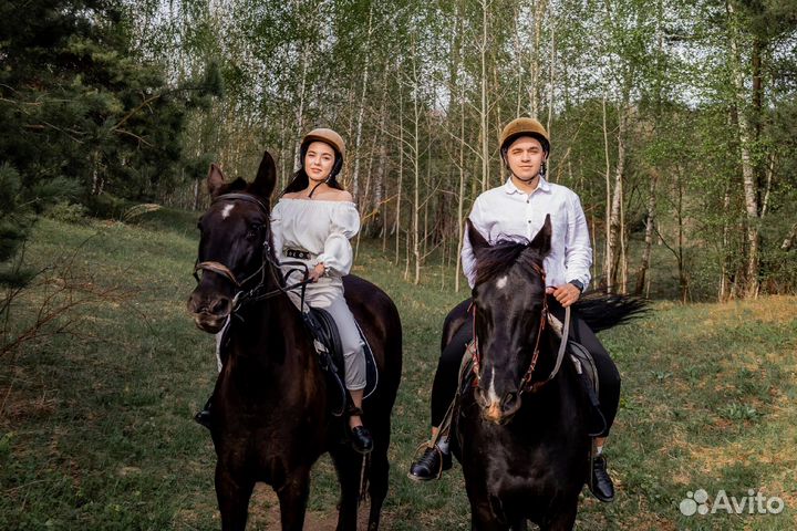 Прогулки на лошадях/фотосессии/обучение