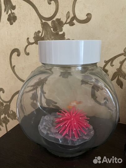 Аквариум с рыбкой на батарейке