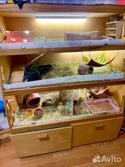 Стеллаж для морских свинок