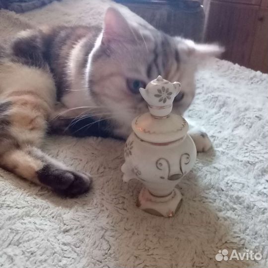 Самовар СССР фарфор