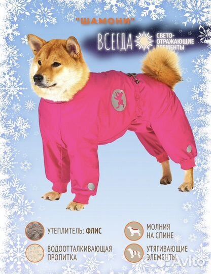 Одежда для средних собак