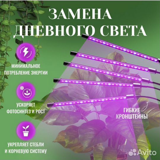 Фитолампа для растений