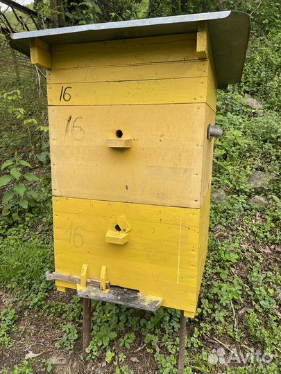 Улей с пчелами