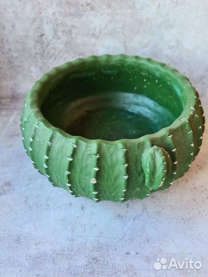 Кашпо Кактус