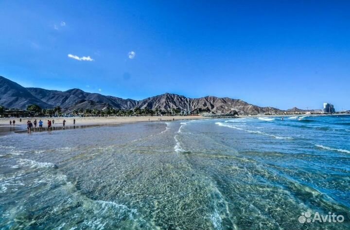 Фуджейра, ОАЭ на 6 нч от 5* все вкл-но