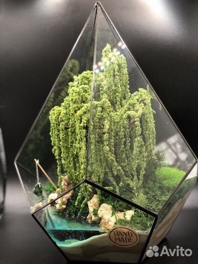 Моссариум рыбак