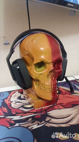 Череп из гипса