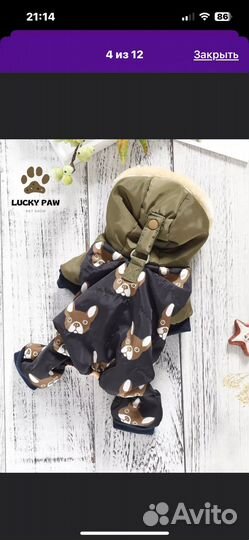 Одежда для средних собак