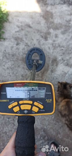 Металлоискатель garrett ace 300i