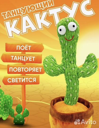 Кактус новый