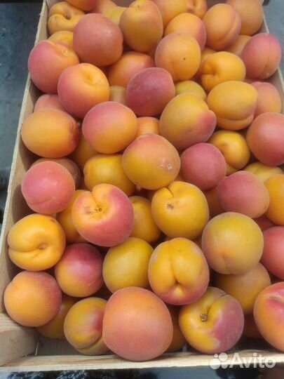 Черешня оптом