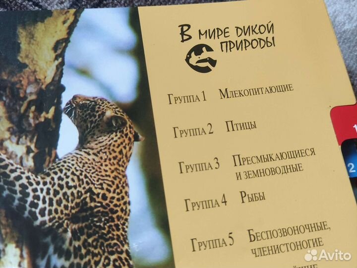 Книга о животных интересная