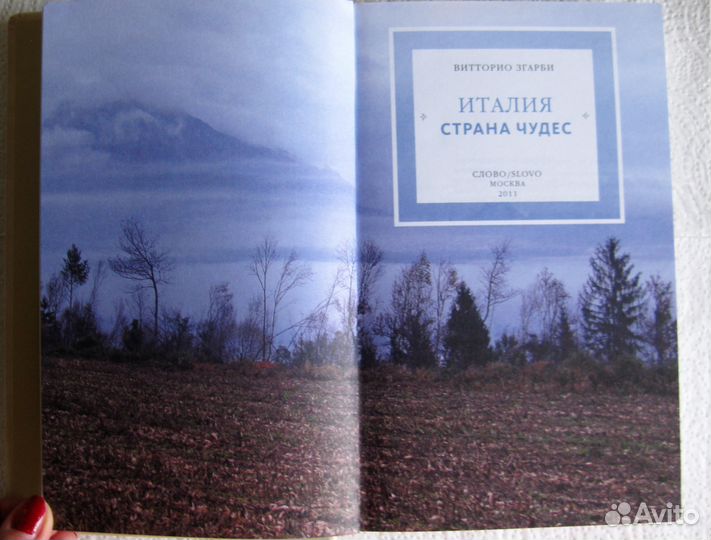 Згарби В. Италия - страна чудес