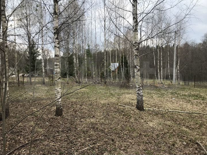 Участок 24 сот. (СНТ, ДНП)