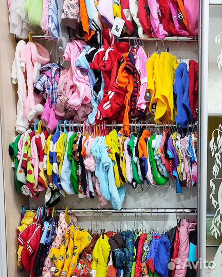 Одежда для собак