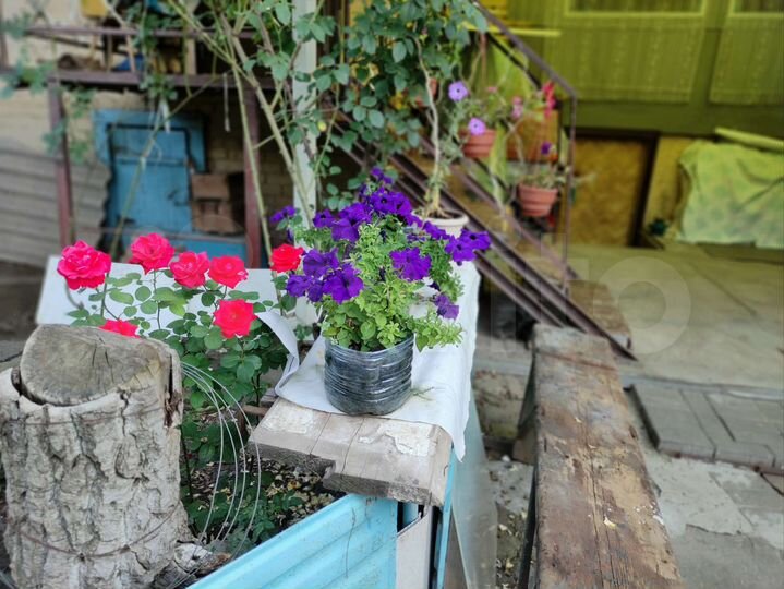 2-к. квартира, 70 м², 1/1 эт.