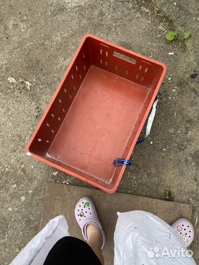 Контейнер для перевозки продуктов