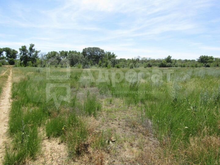 Участок 5,4 сот. (ИЖС)