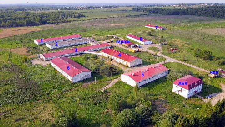 ПСН в черте города