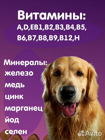 Корм для собак Холистик класса 10кг