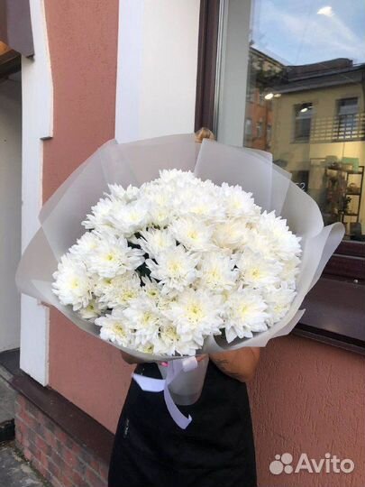 Кустовые хризантемы, стойкость от 2 недель