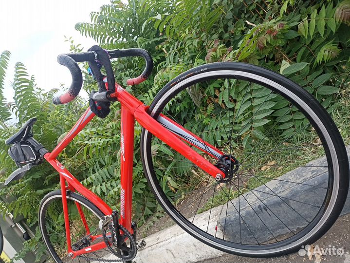 Велосипед Фикс Bearbike Armata