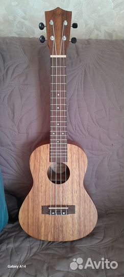 Укулеле flight концерт