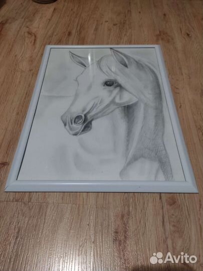 Коллаж: Лошади