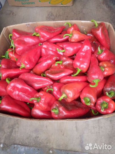 Помидор, картофель, чеснок, перец,лук