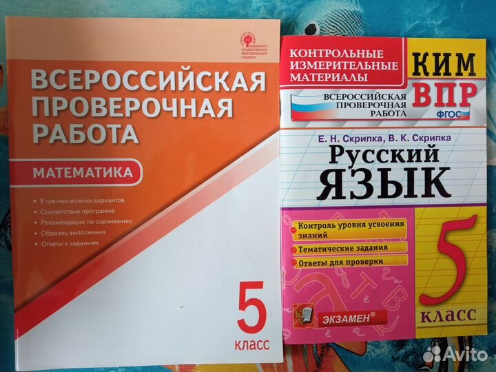 Впр 5 класс русский язык, математика