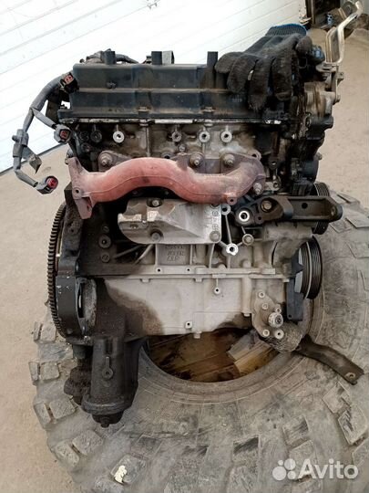 Двигатель VQ25 DE nissan elgrand