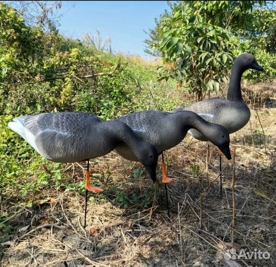 Чучела гусей гуменник 10 шт